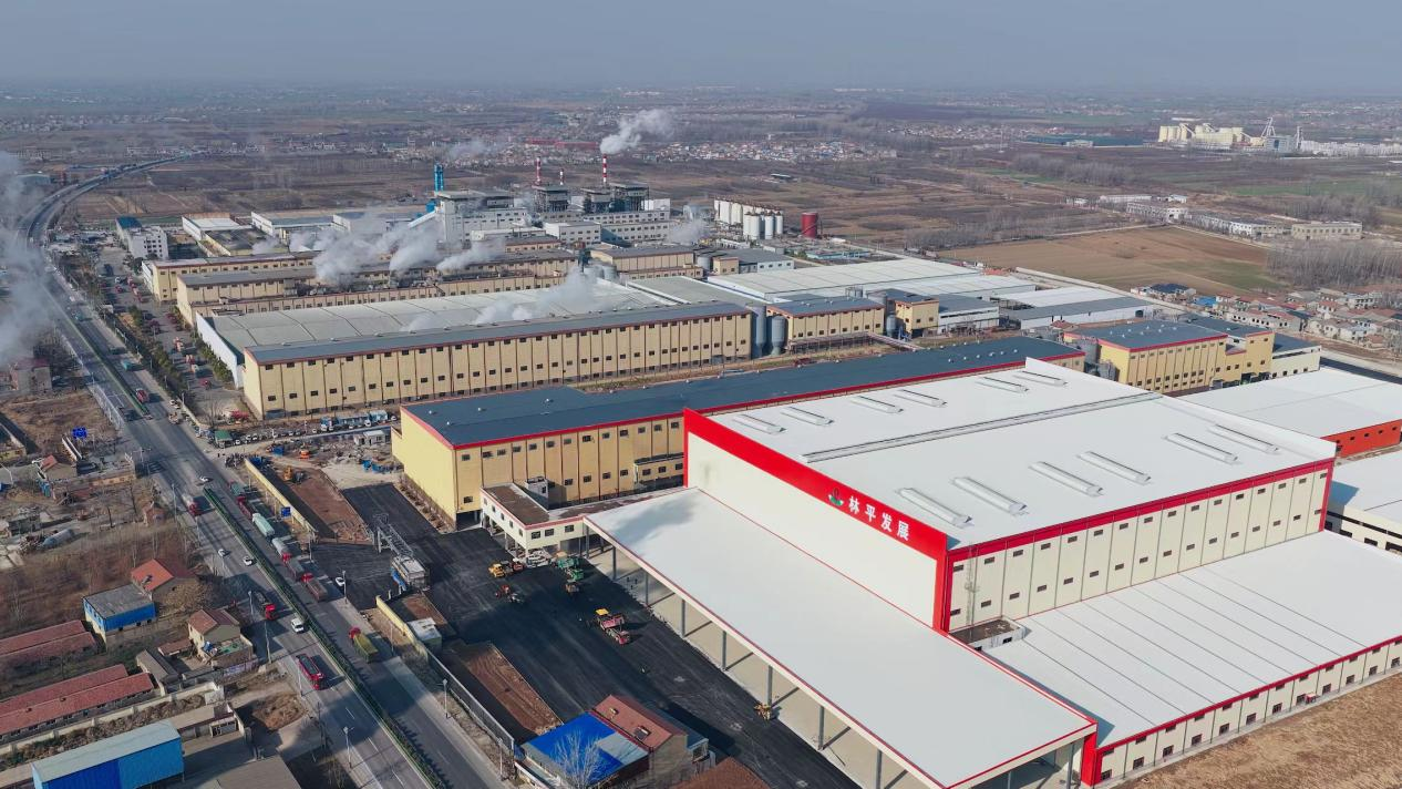 林平发展2月10日上市，沪主板即将迎来安徽本年首家上市企业