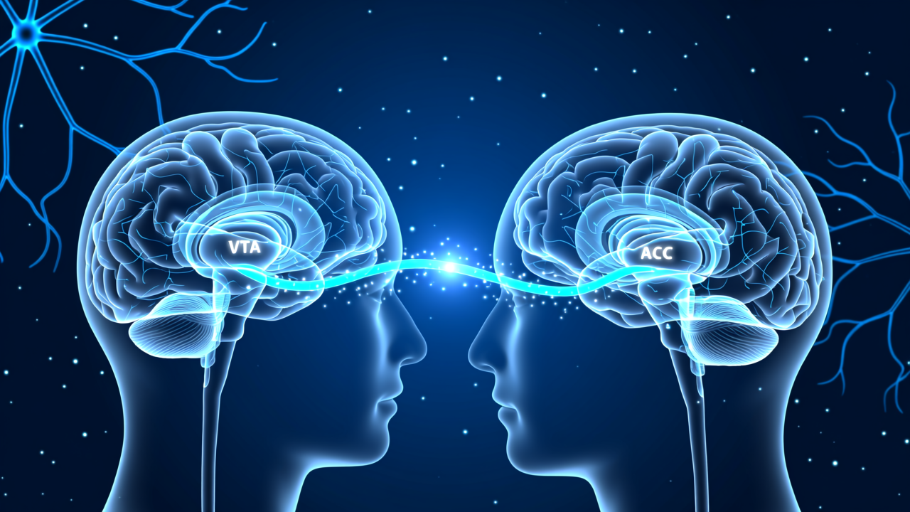 Nat子刊：田波/张培团队揭示VTA-ACC多巴胺环路调控观察性社交回避的机制