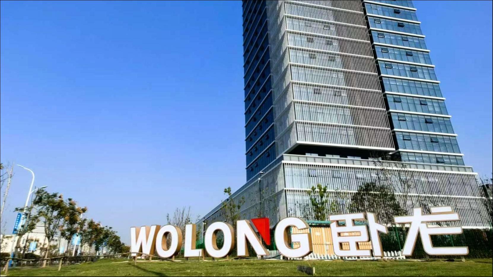 盈利质量全面突围，卧龙电驱迎结构性增长拐点