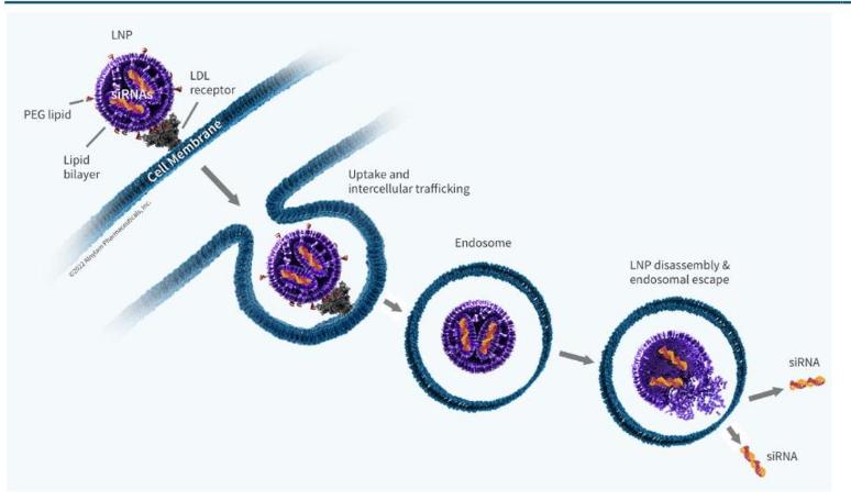 “小核酸之王”逆袭启示录
