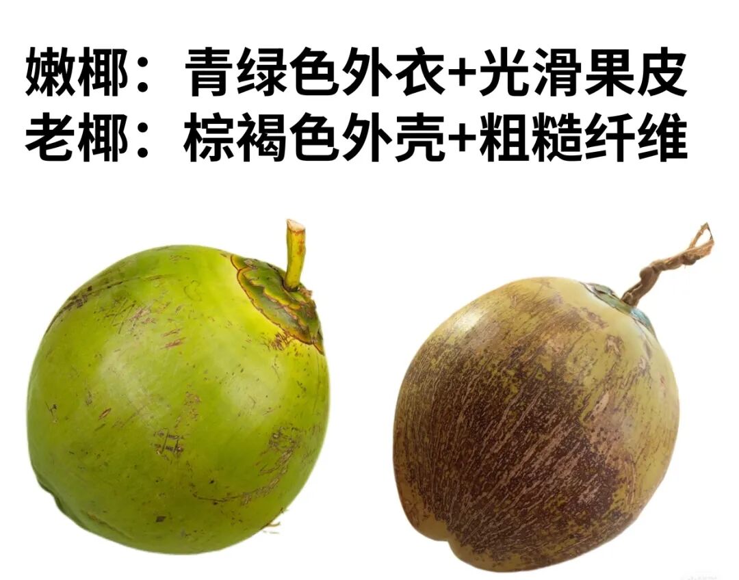 if、盒马、轻上等大牌陷造假风波？椰子水为何频频爆雷