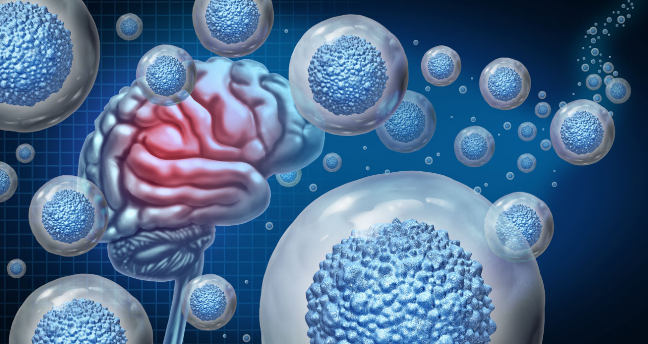 瑞士生物科技公司NXI Therapeutics研发靶向 Coronin 1 通路的选择性免疫调节剂