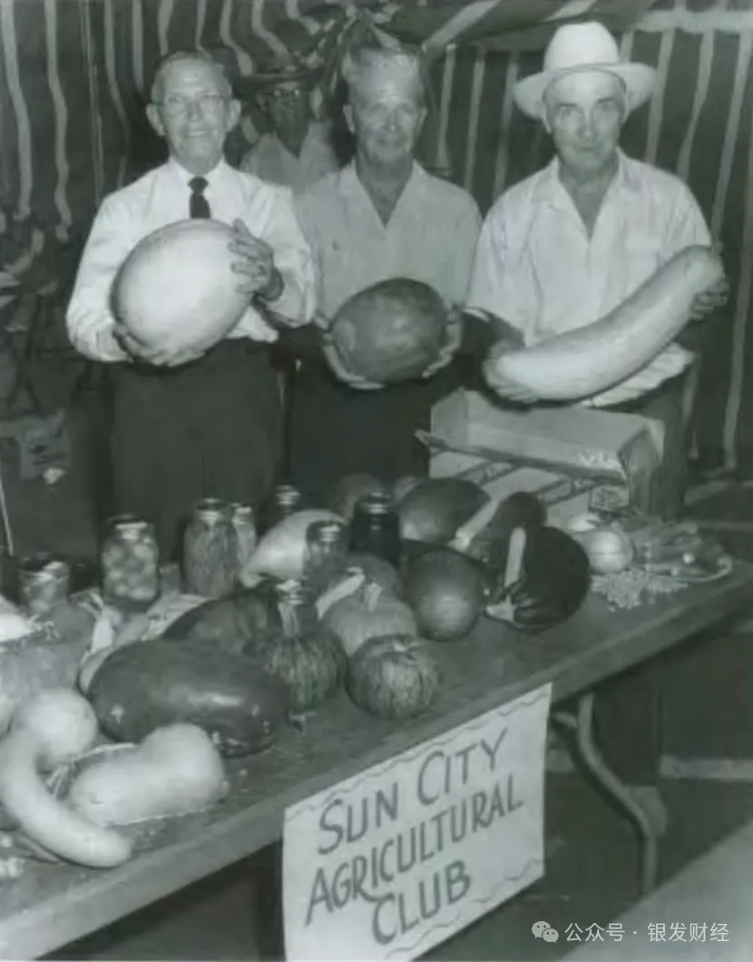 在沙漠中建退休社区：一个沦为普通小镇，一个成全球标杆