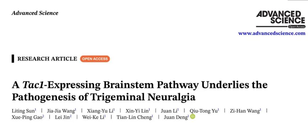 Adv Sci：复旦大学邓娟/孙立婷团队鉴定出介导三叉神经痛发病的神经环路