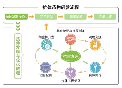 百英生物闯关北交所：毛利率“反常”、大客户“换血”，收入准确性遭两轮拷问丨IPO观察