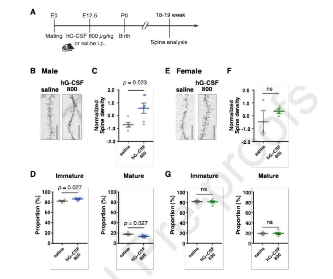 孕期免疫激活影响后代大脑：《Brain, Behavior, and Immunity》新研究，揭示3个关键发现