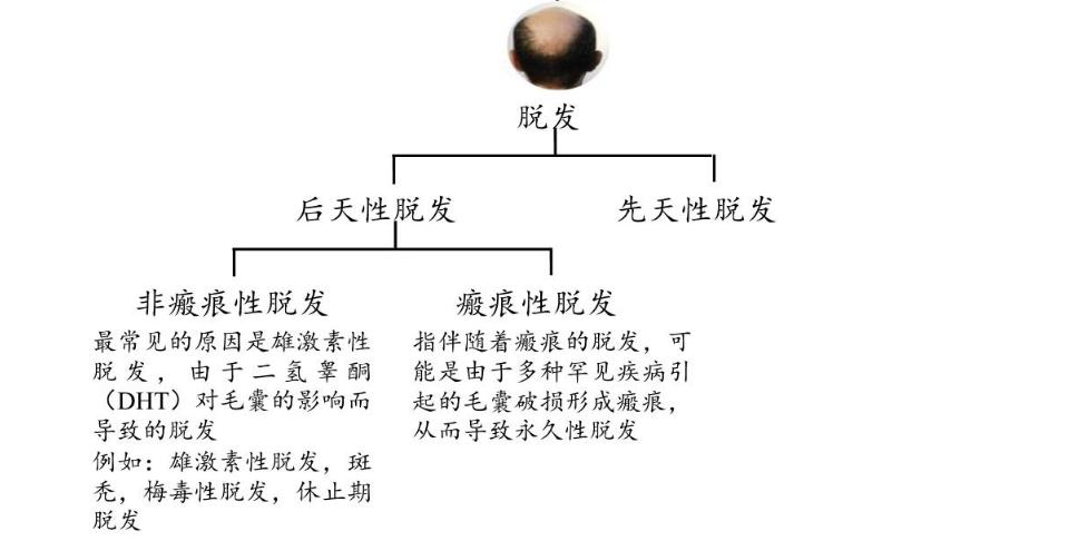 秃头这个病
