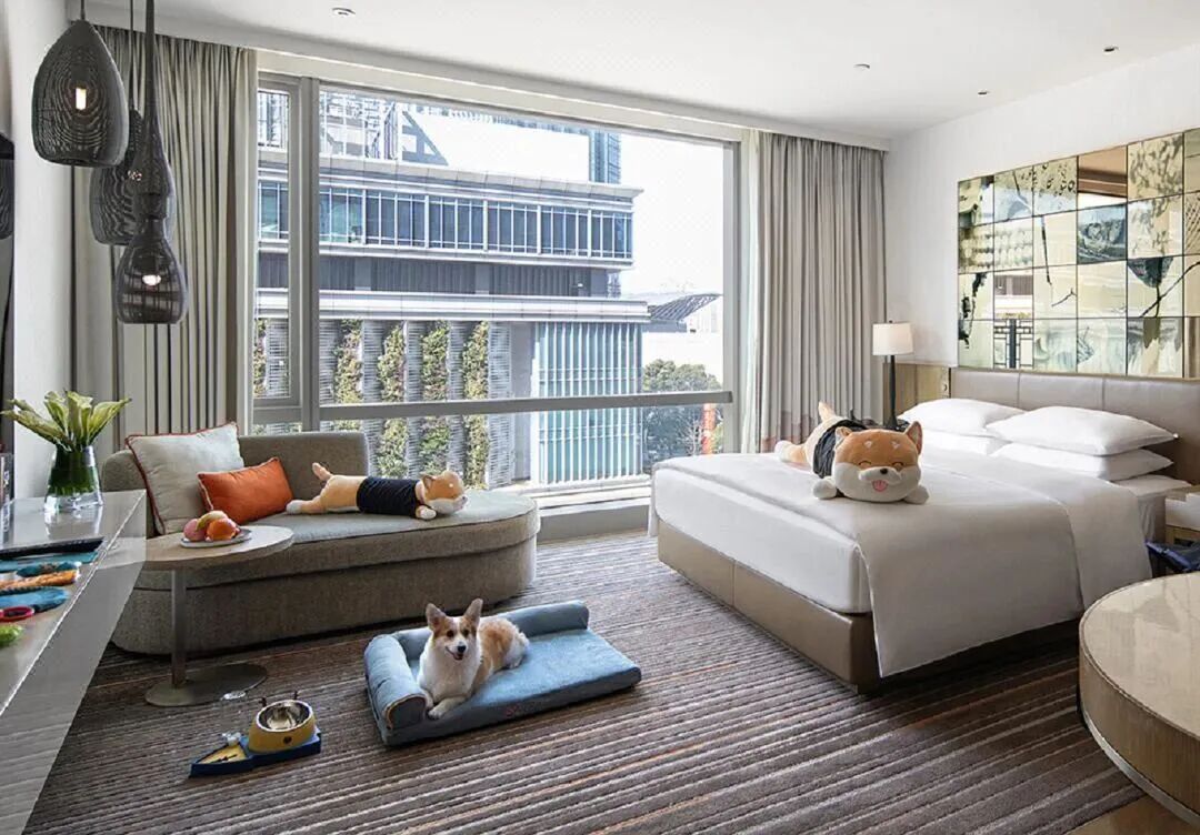 1.26亿只“毛孩子”，撑不起“宠物友好酒店”？