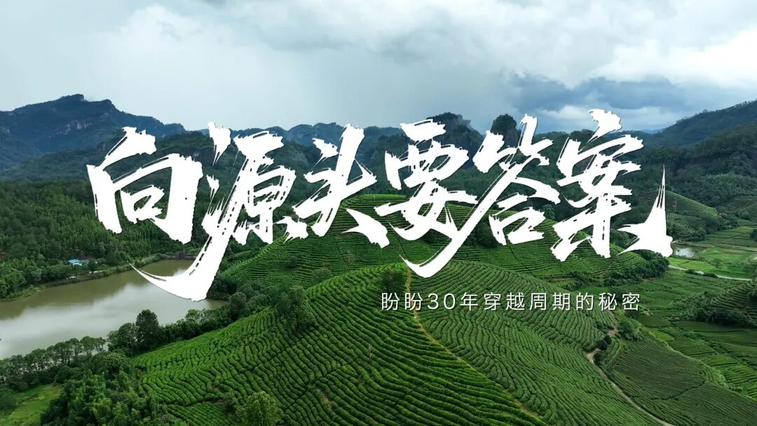 盼盼30年：一瓶饮料里的“笨功夫”与真答案