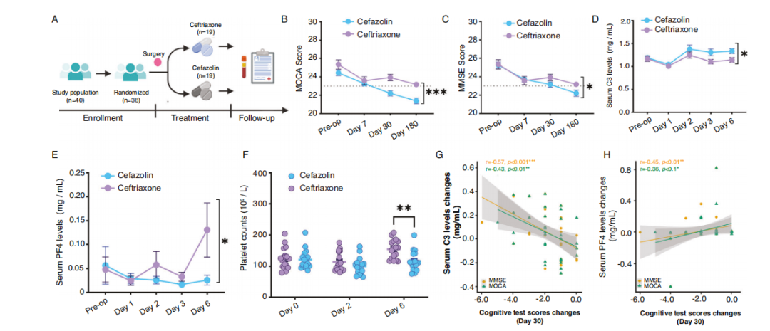 福建医科大学赖忠盟等揭示连接围术期免疫与神经保护的新通路