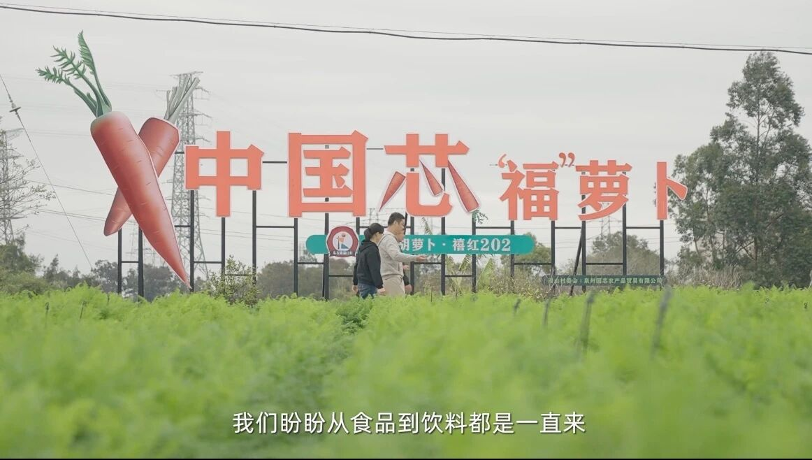 盼盼30年：一瓶饮料里的“笨功夫”与真答案