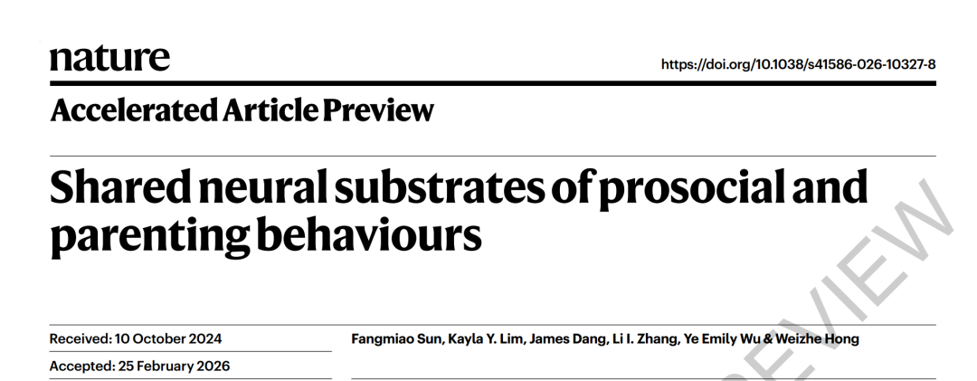 Science之后又发Nature， UCLA洪暐哲解密：为什么“好爸妈”往往也是“热心肠”？