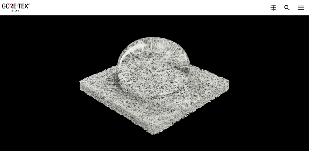 被“网暴”的聚酯纤维，“穷人”要为它正名