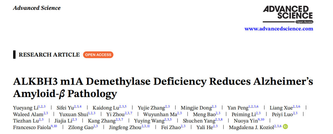 Adv Sci：北京脑所团队发现AD治疗新策略，抑制它或可逆转认知缺陷