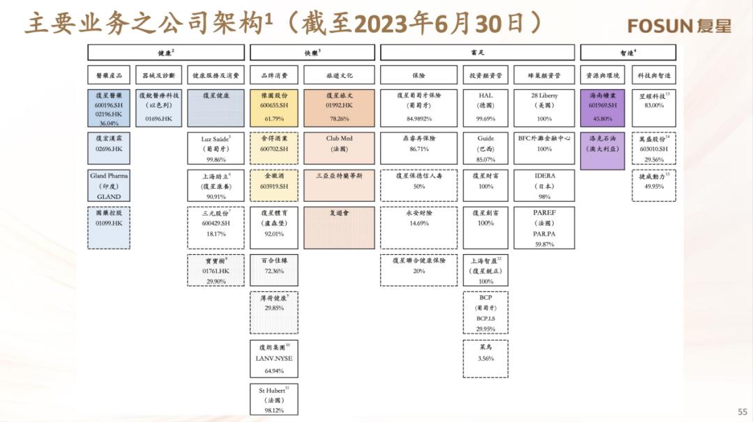 复星国际的亏损，另有「隐情」？