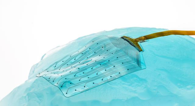Ultra-Flexible Neural Implant Electrodes Developed