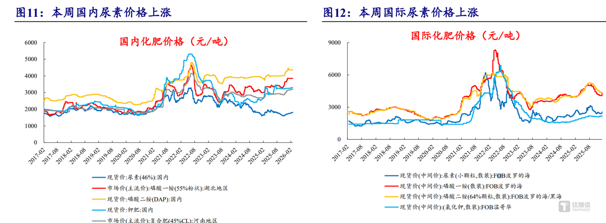 美伊冲突引爆化工行情：谁在涨价，谁还会被推上风口？｜行业风向标
