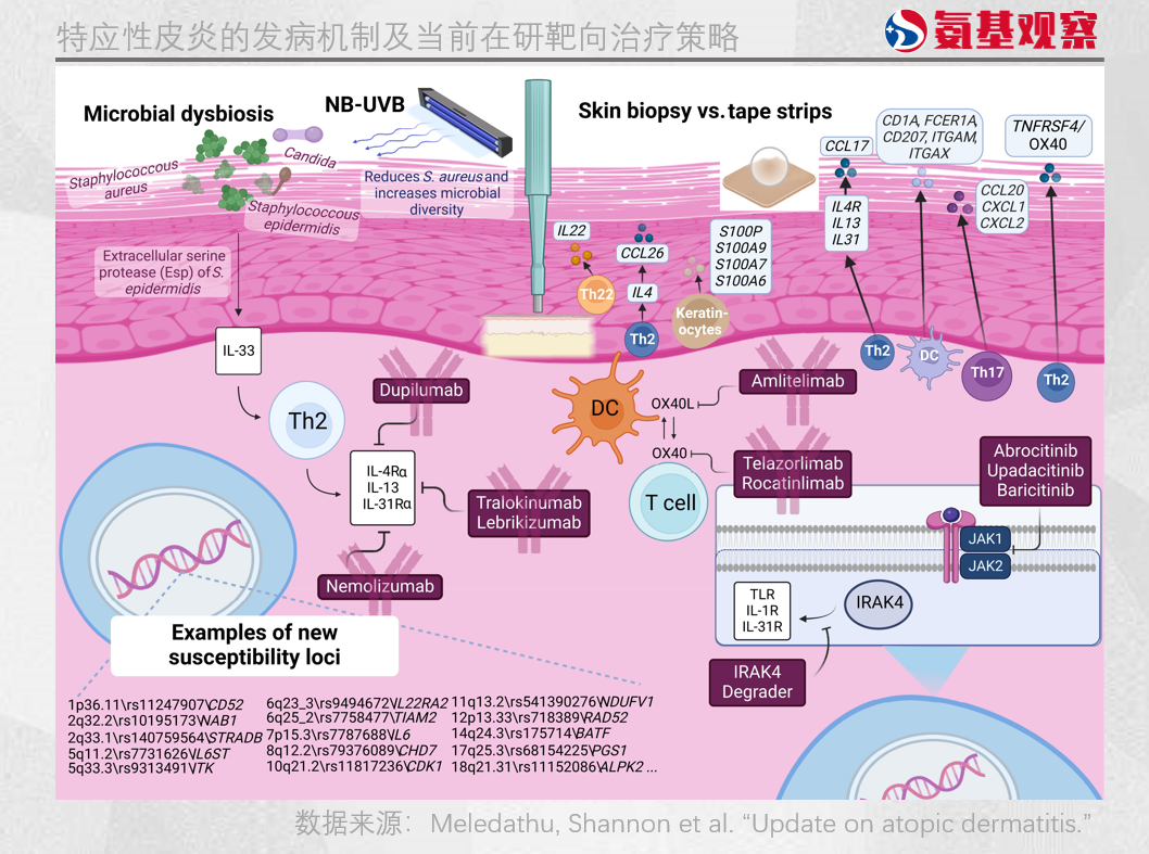 AD治疗药物研发进入“战国时代”