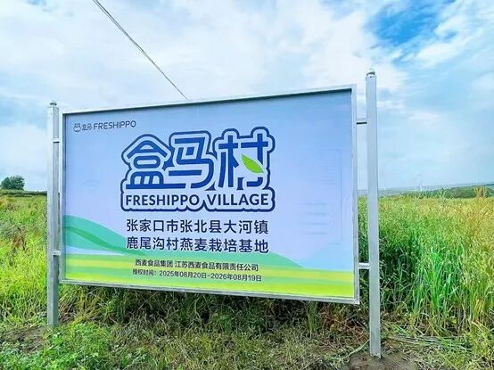 聊一聊盒马超盒算NB开放加盟的“阳谋”