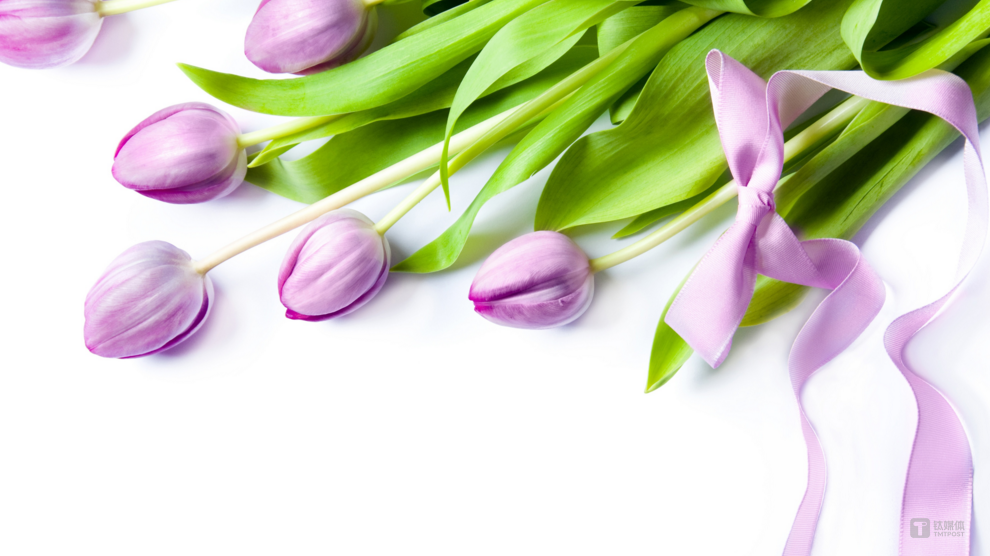 具身智能赛道迎来年度最大单笔融资，它石智航获4.55亿美金Pre-A轮融资