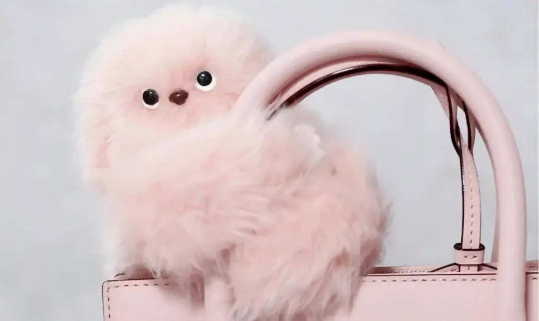 200亿热钱涌入AI玩具：MOMOTOY3个月营收暴涨200%、ropet90天用户留存超80%