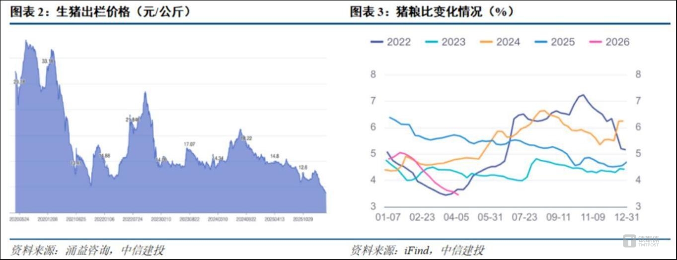 猪价创10年新低，猪肉股为何先涨？| 行业风向标