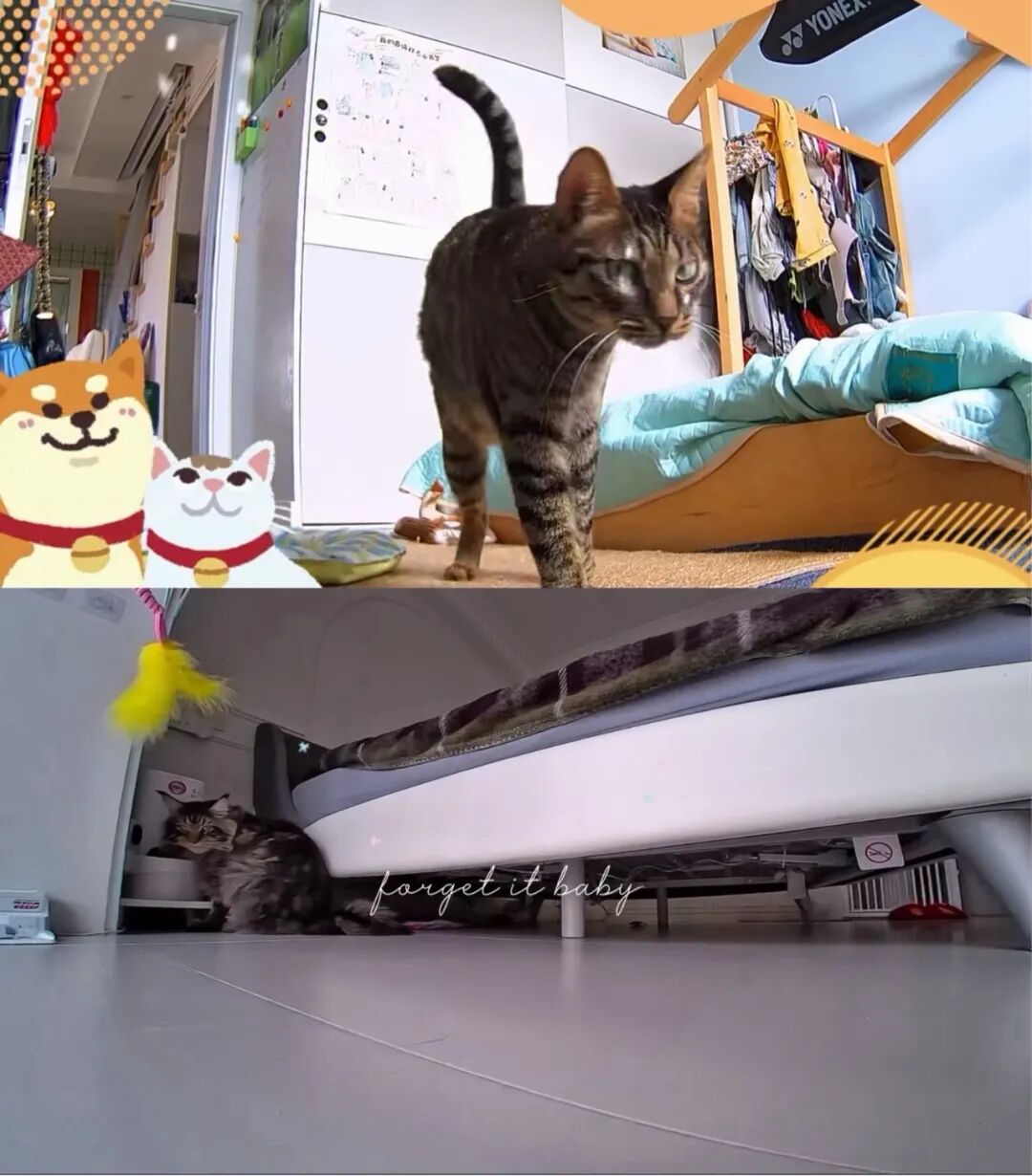 AI Pet Robots Surge 300%, Million-Yuan Earnings