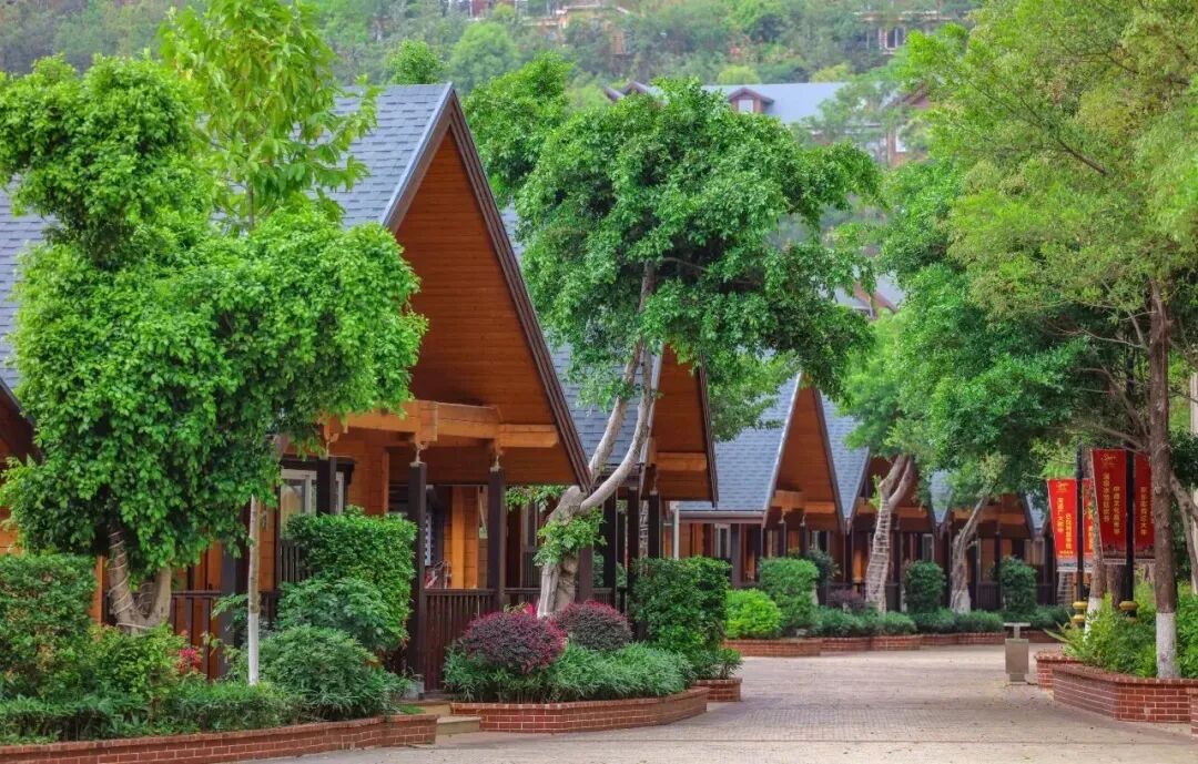 传统赛道卷无可卷，万豪们开始集体卷“养生”