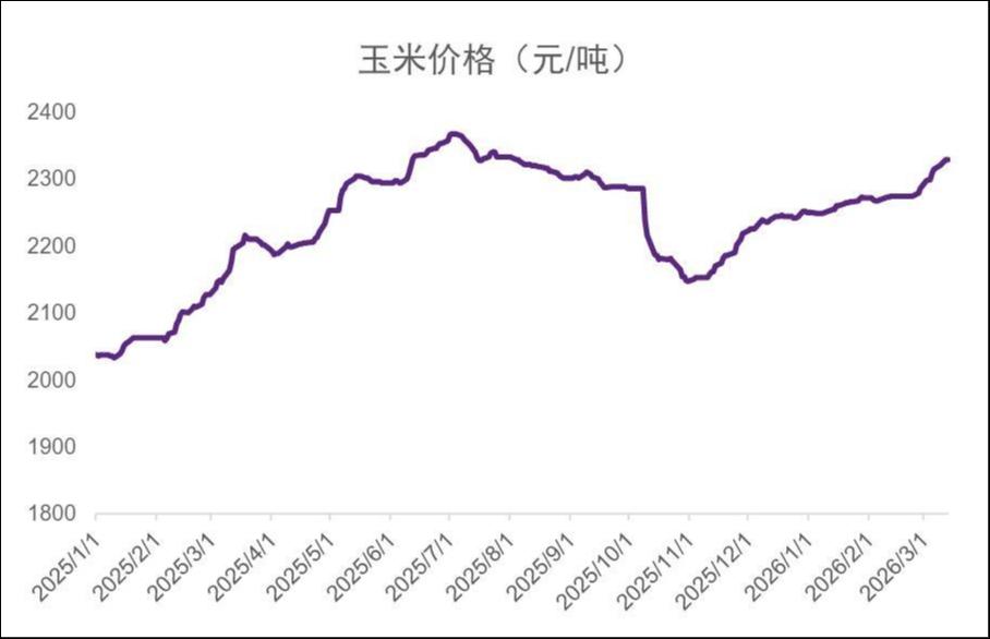 猪价创10年新低，猪肉股为何先涨？| 行业风向标