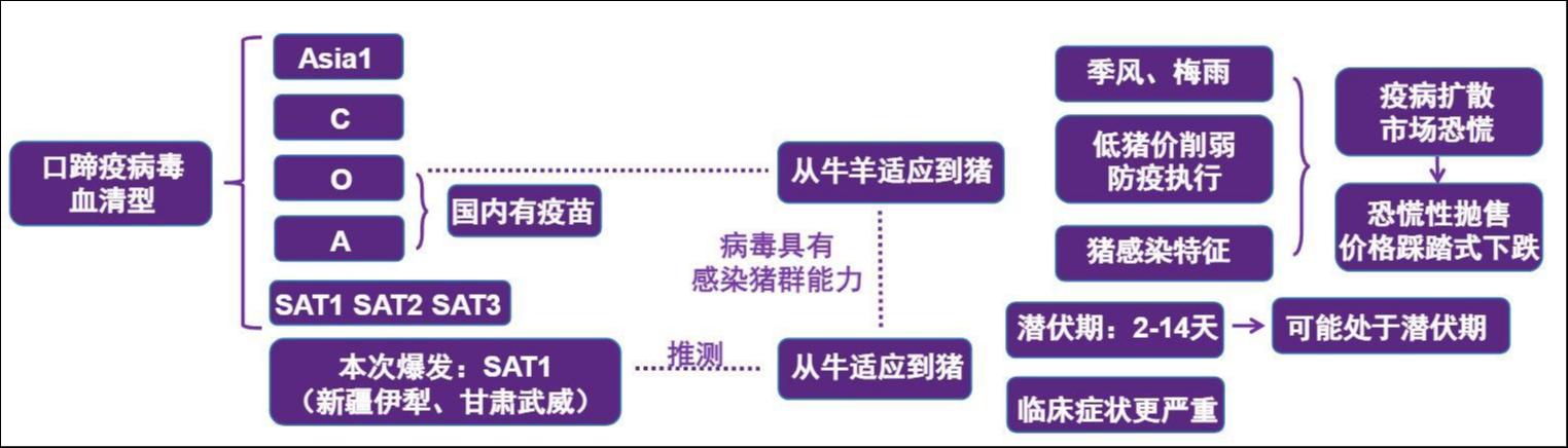 猪价创10年新低，猪肉股为何先涨？| 行业风向标
