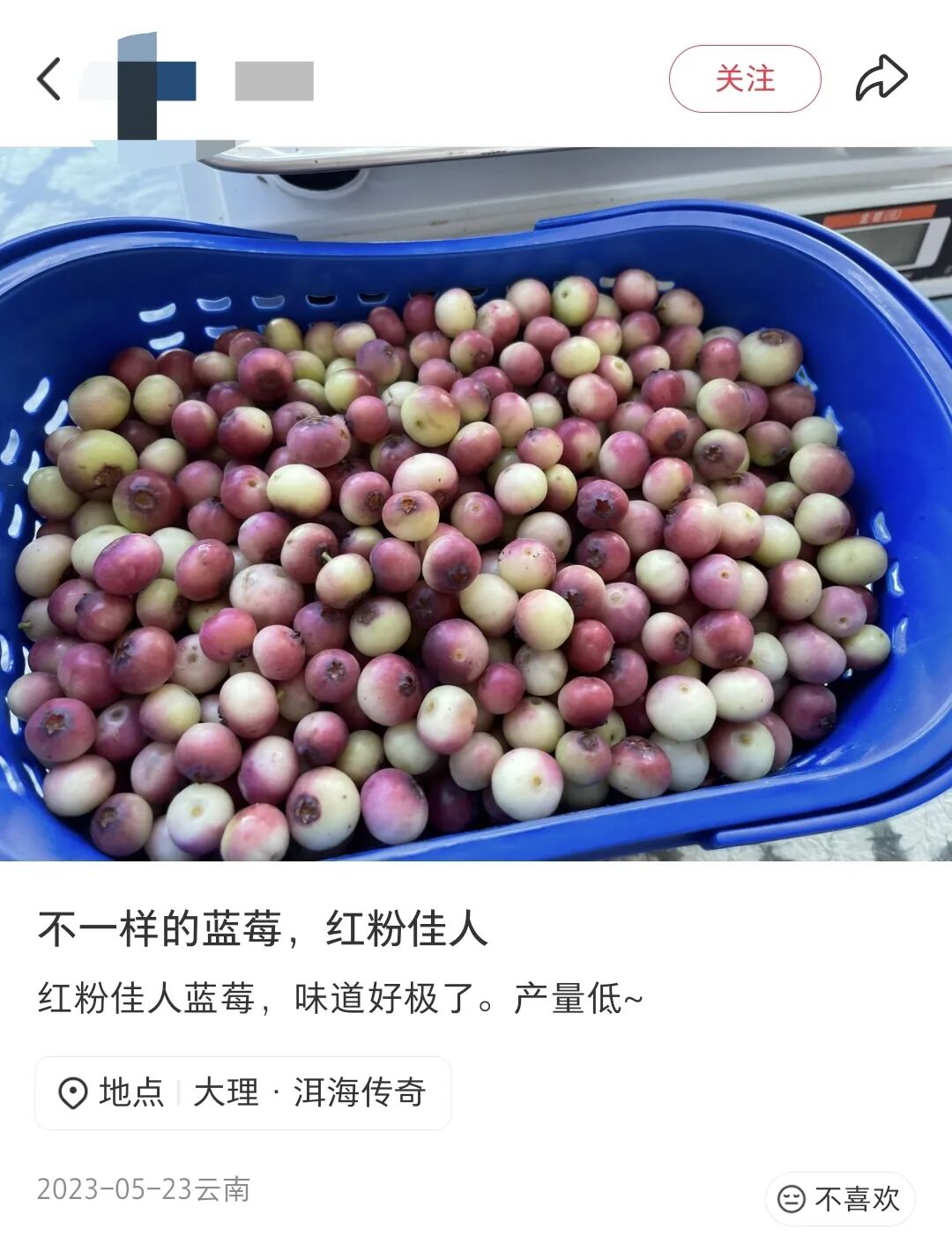 一边跌价，一边天价，水果市场为何走向两级？
