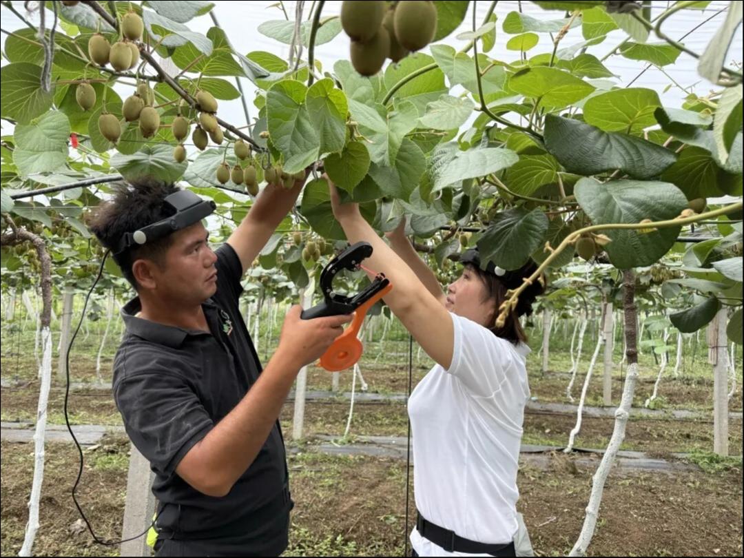全国首个具身智能数据采集社区落地，京东联手宿迁破解行业 “数据荒”
