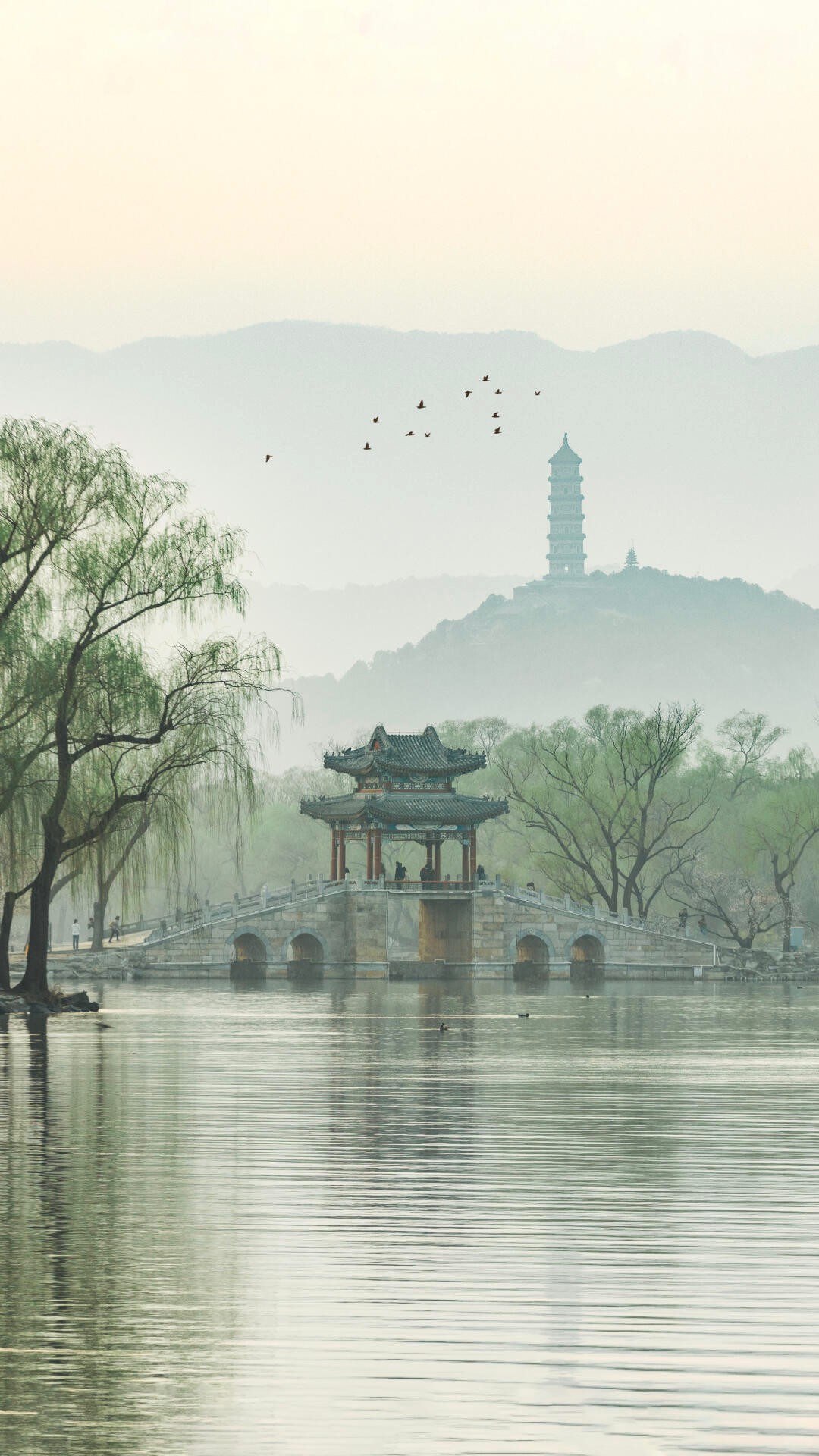 被骂了这么多年，国内景区的审美，终于开始“去油”了