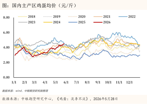 鸡蛋现货突破5元/斤,高利润下产业为何不敢囤货?