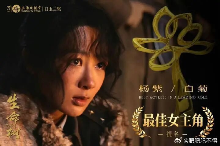 杨紫首封视后、《太平年》成赢家，这届白玉兰奖不打安全牌了？