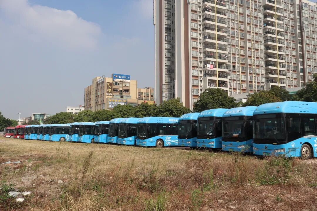 Without Subsidy, Can Hydrogen-Powered Buses Run?