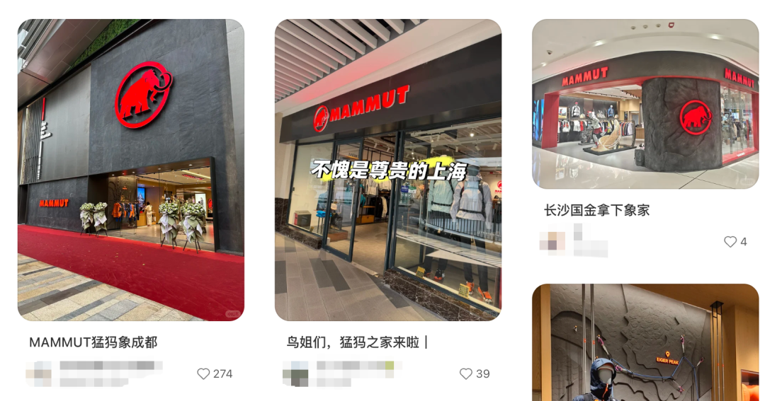 软壳鼻祖猛犸象可能也要越来越贵了