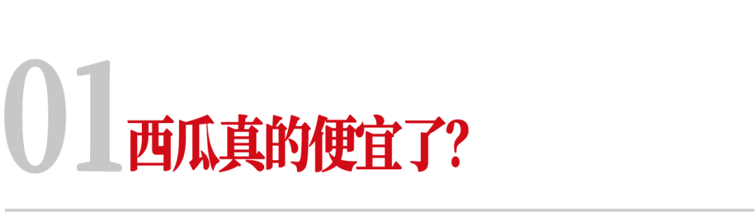 西瓜,真的几分钱一斤了?