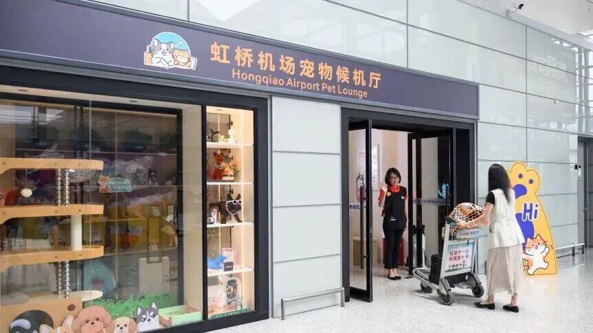吃喝住行全面升级，宠物经济“再进化”