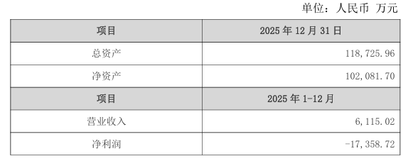 信维电科2025年未经审计财务数据