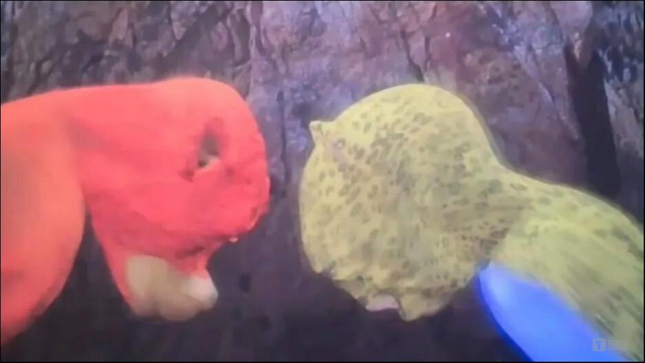 假如用AI搓一部《牛来》，得花多少钱？
