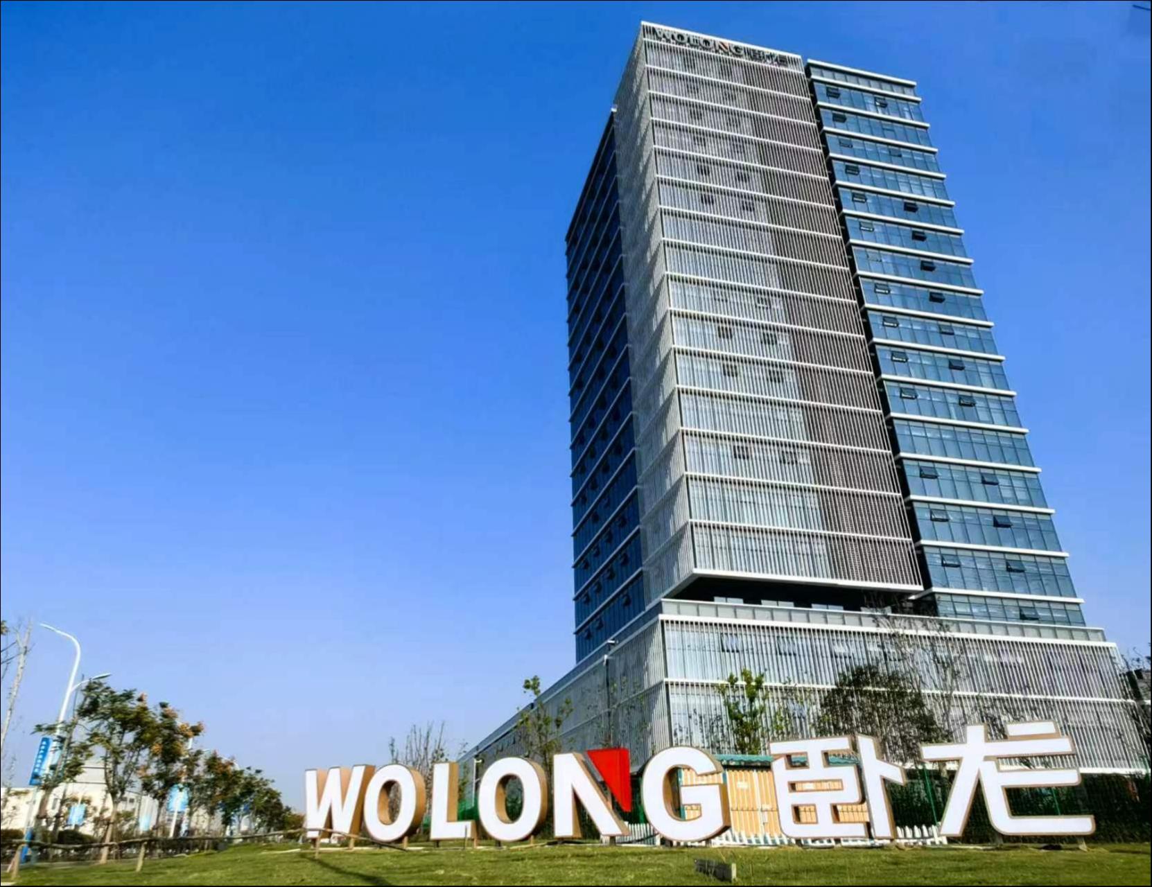 电机龙头新旧动能切换迈入关键节点，卧龙电驱全球化与新赛道双向突破