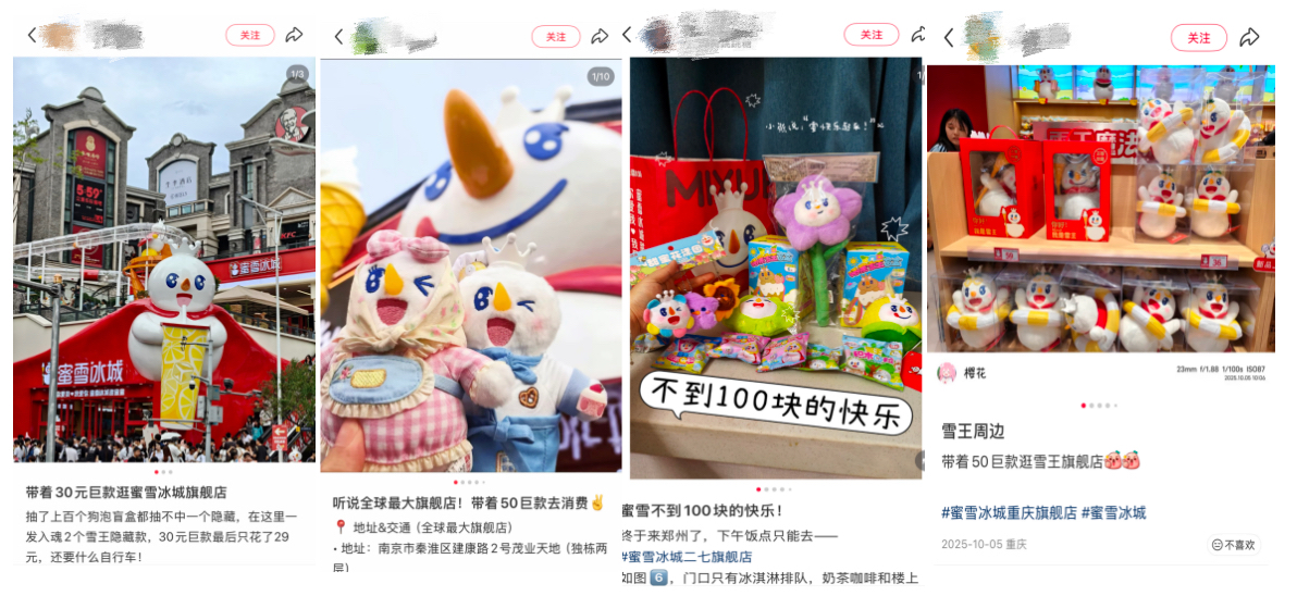 图片来源小红书