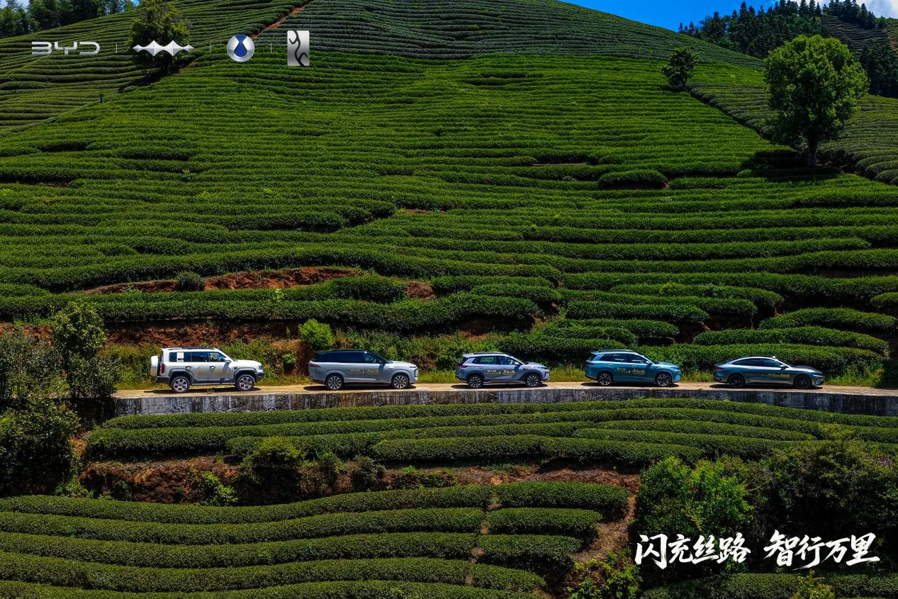 比亚迪驰骋丝路，解码药瓷丝茶商贸印记