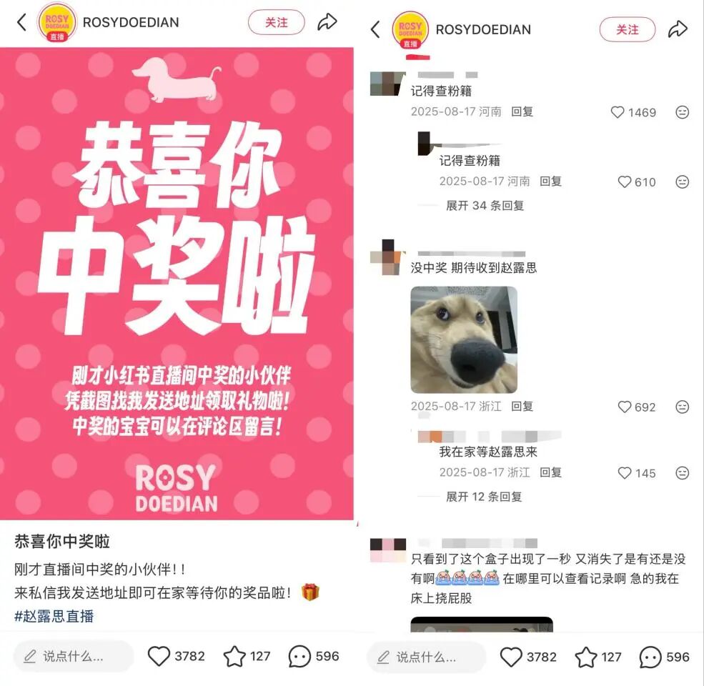 赵露思主理品牌RDD，困于粉丝
