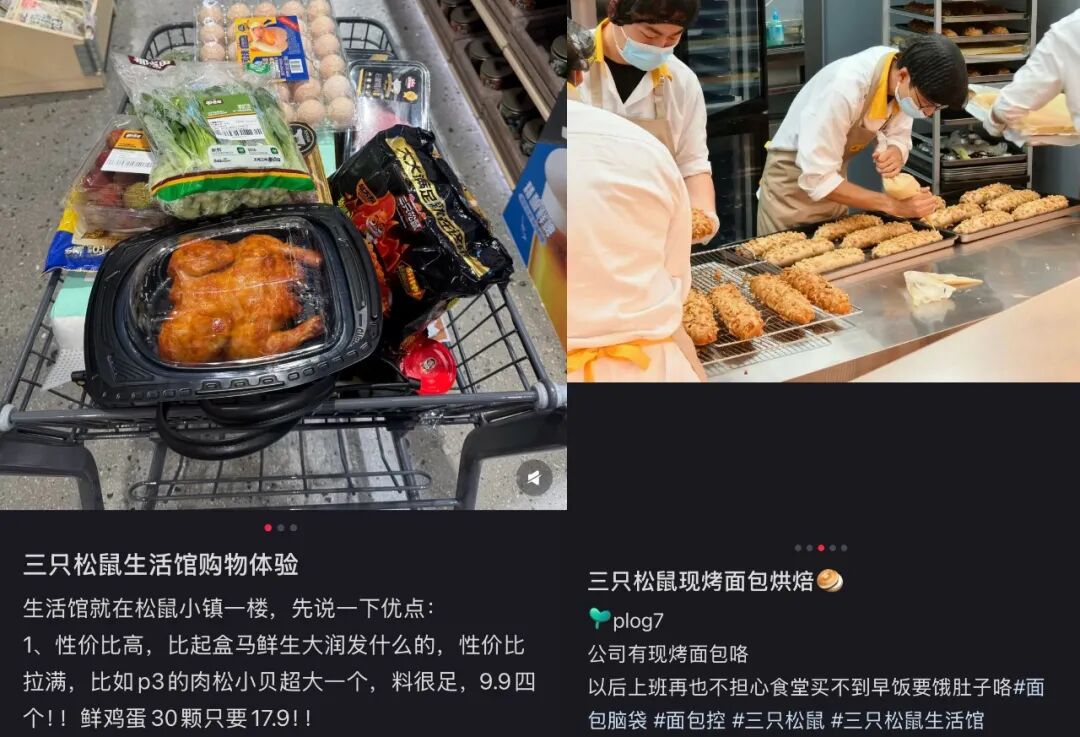 三只松鼠想通了，零食店的尽头是卖菜