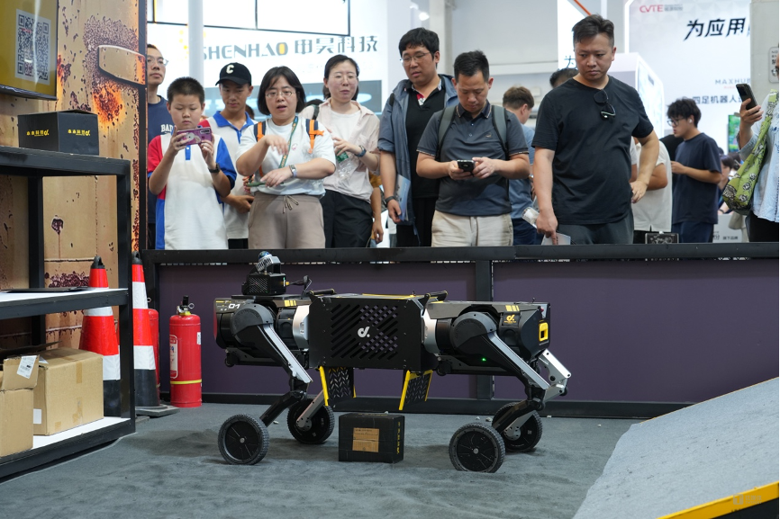Robots Need Physical Access, Not Just General Intelligence
