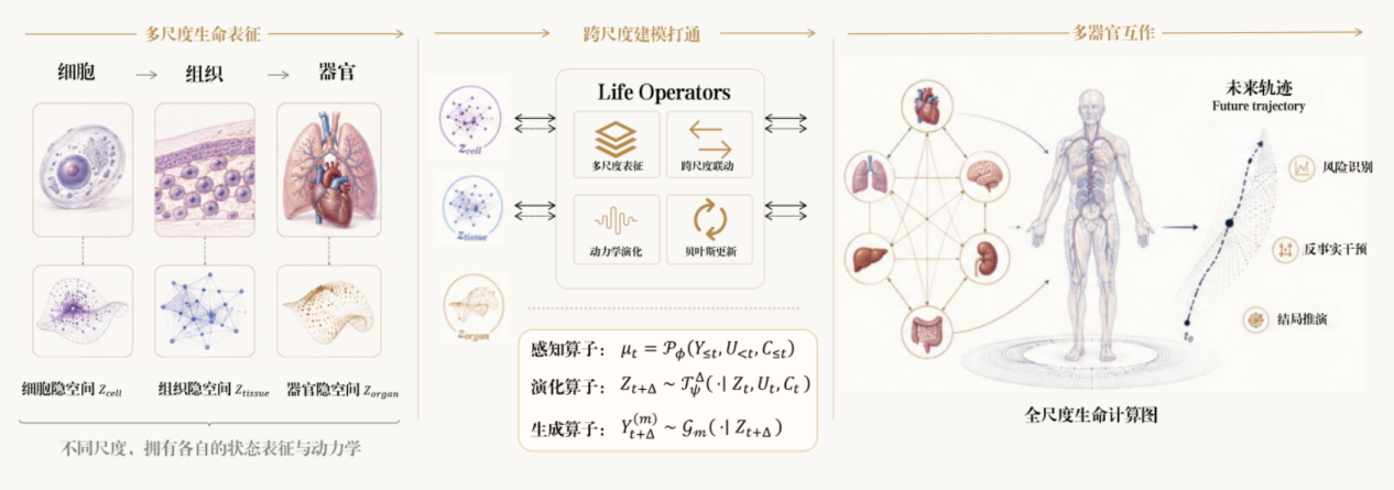 一个人，十五年，他想重写医疗AI的底层逻辑