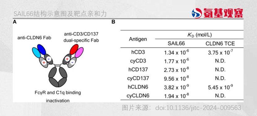 三抗缓解率0%，中外制药的意外“走红”