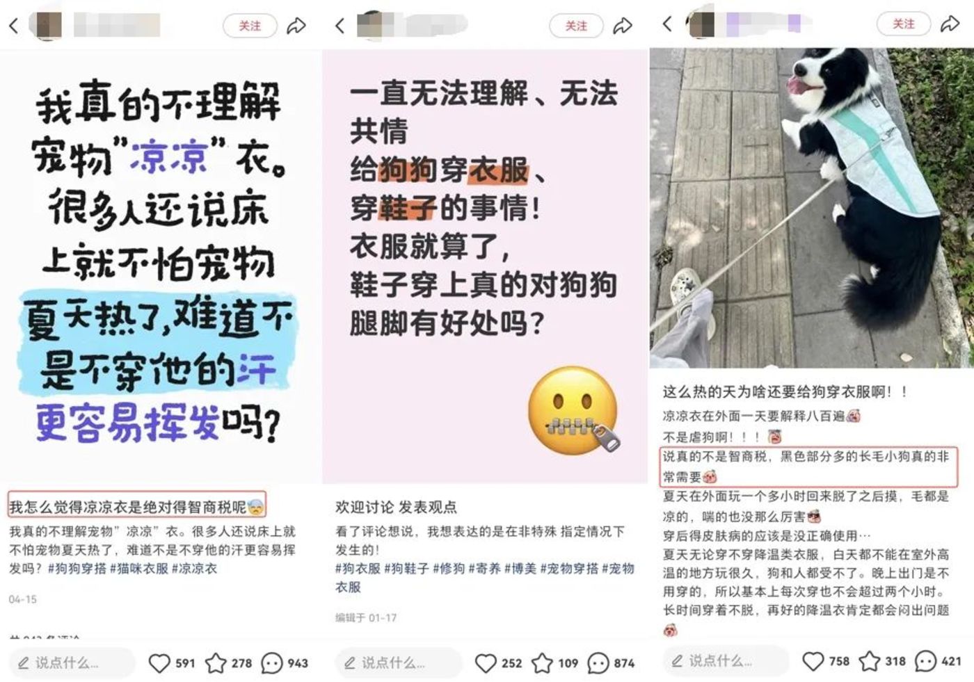 阿迪耐克下场:3000元一件的宠物服饰是「金矿」?